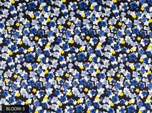Bloom-3 (1)