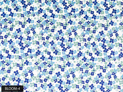 Bloom-4 (1)