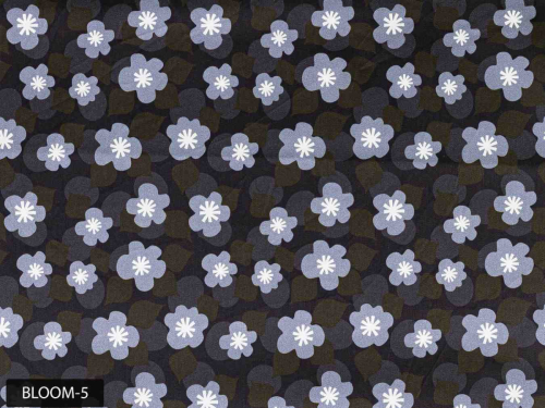 Bloom-5 (1)