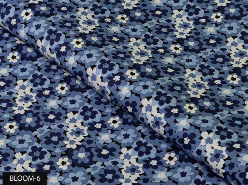 Bloom-6