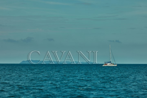 Cavani58-Small