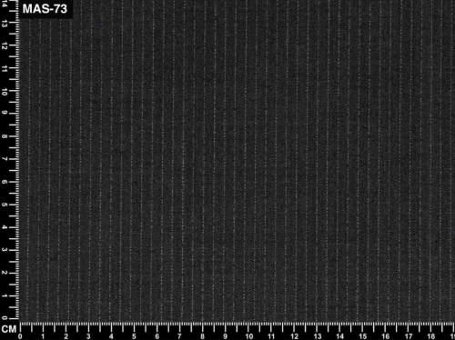 MAS73SCALEDSHOT